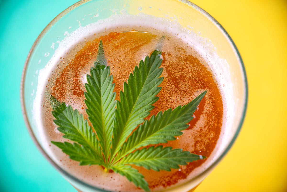 Is Dank IPA the Next Hazy? | Abstrax Hops