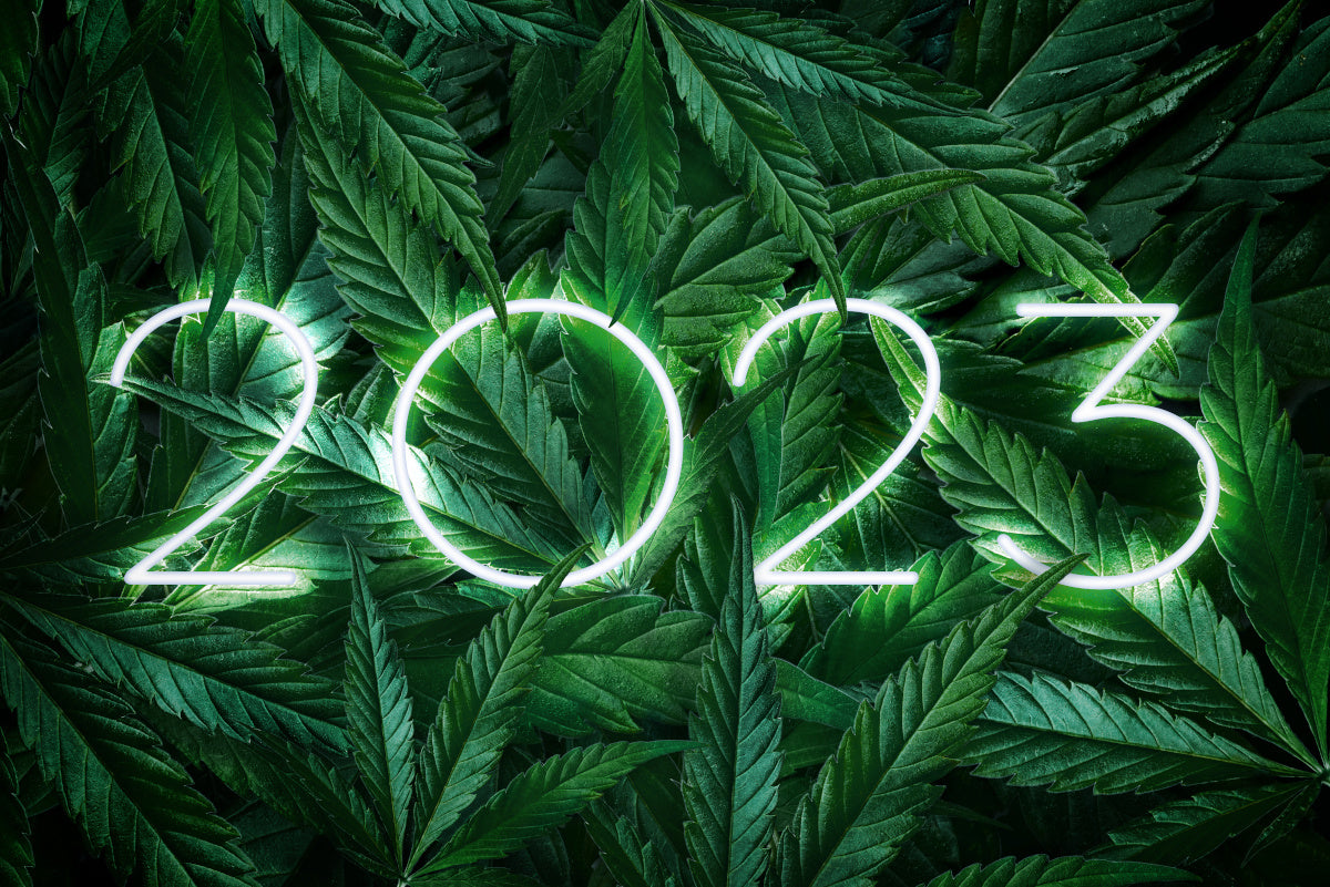 2023 Cannabis Trends to Watch | Abstrax Hops