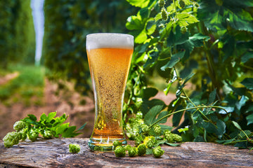 Brew Big Hops Flavor Into Low Calorie Beer | Blog | Abstrax