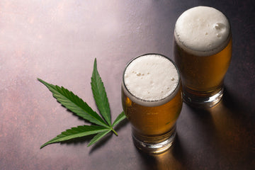 What Would Be The Effect of Dry Hopping Beer With Cannabis?