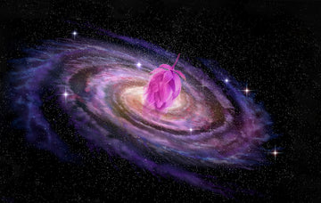 Get to Know Your Favorite Hop | Galaxy® | Abstrax Hops