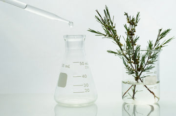 Top 3 Benefits of Terpenes | Abstrax Hops