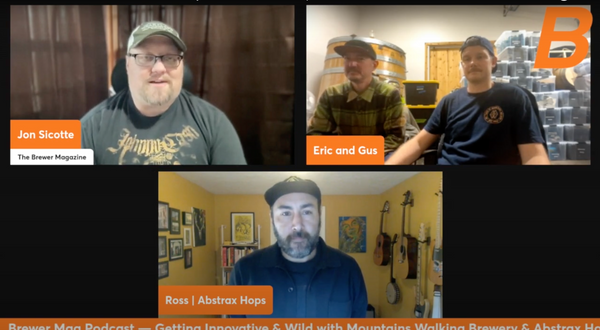Be a Wildcard! Showcase Your Brewery's Innovation with Hop Products from Abstrax