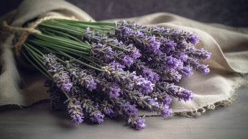 What is Linalool? | Blog | Abstrax