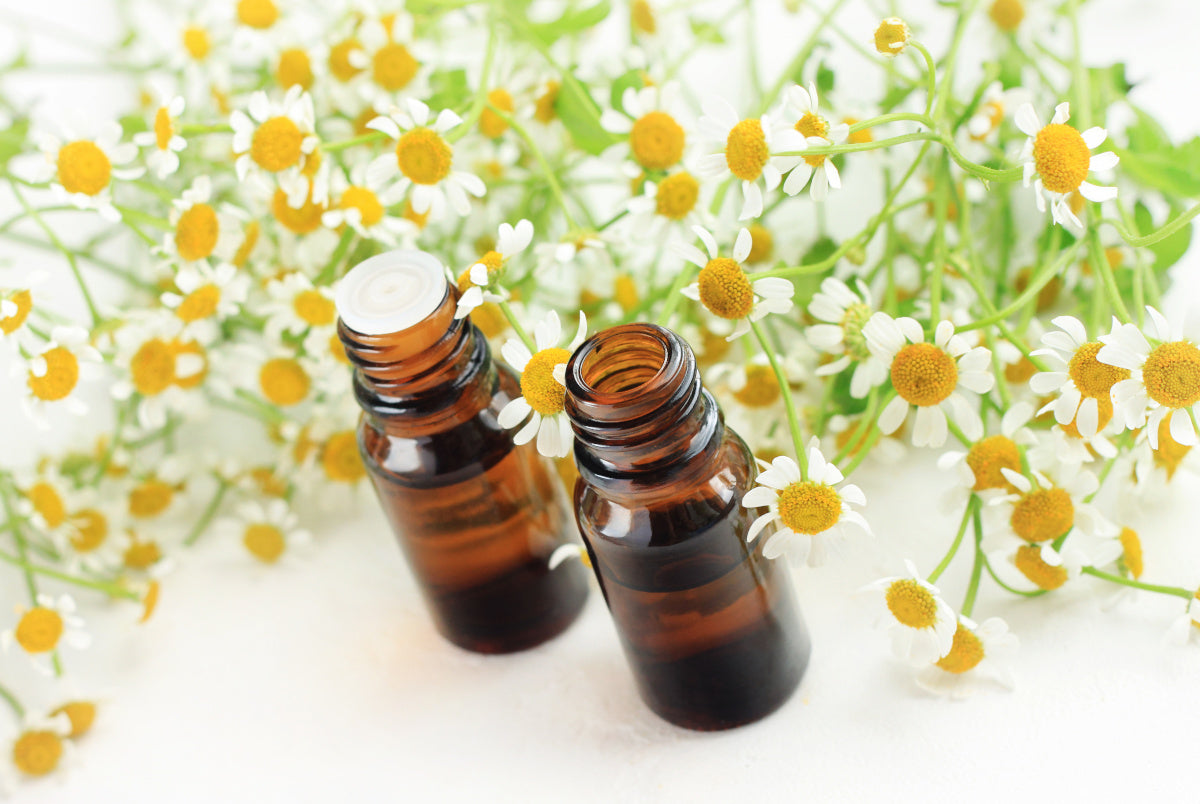 5 Powerful Bisabolol Benefits You SHOULD Be Getting