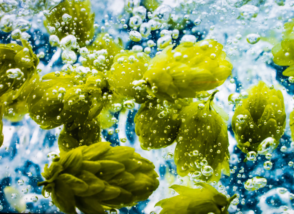 The Difference Between Hop Water and NA Beer | Abstrax Hops