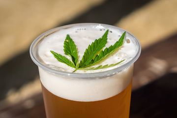 The Story of 710 and Its New Dank Brewing Chapter | Abstrax Hops