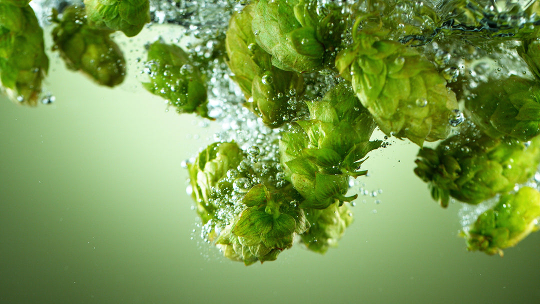 Abstrax Hops Introduces Innovative Hop Toll Processing Service and Exp