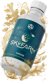 Ginger Natural Fruit Flavoring, TTB-Approved | Abstrax Hops | tilted right