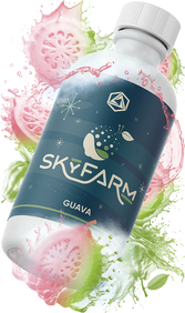 Guava Natural Fruit Flavoring, TTB-Approved Tilted | Abstrax Hops