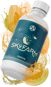 Papaya Natural Fruit Flavoring, TTB-Approved | Abstrax Hops | Tilt Right