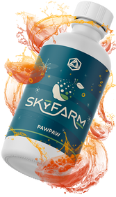 Pawpaw Natural Flavoring, TTB-Approved | Abstrax Hops | tilted right