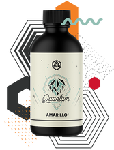 Amarillo Hops Quantum Series | Best Quantum Series for Sale | Abstrax Hops
