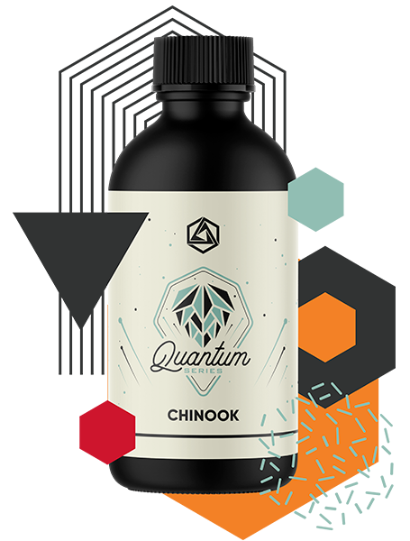Chinook Hops Quantum Series | Best Quantum Series for Sale | Abstrax Hops