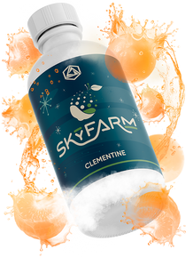 Clementine Natural Fruit Flavoring, TTB-Approved | Abstrax Hops