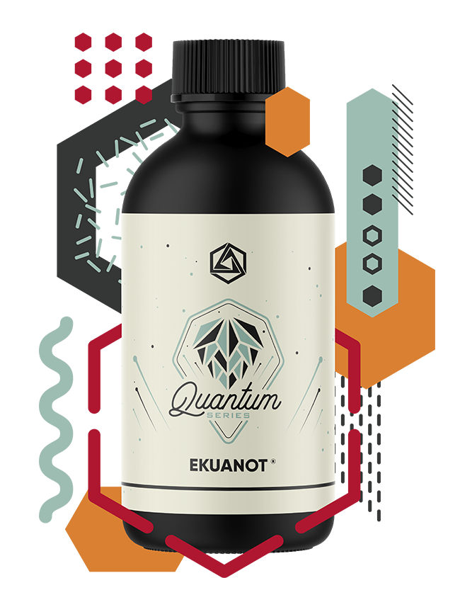Ekuanot® Hops Quantum Series | Best Quantum Series for Sale | Abstrax Hops