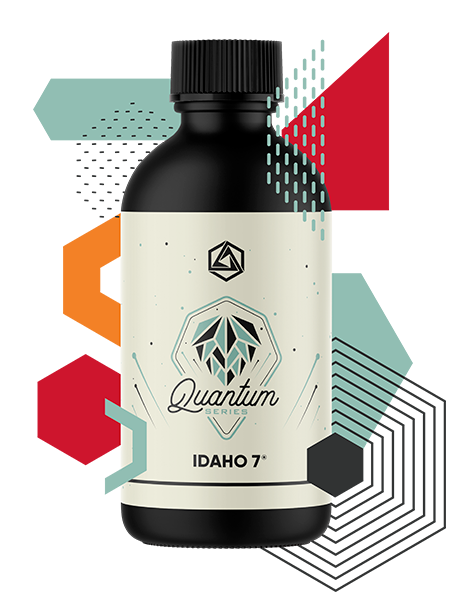 Idaho 7 Hops Quantum Series | Best Quantum Series for Sale | Abstrax Hops