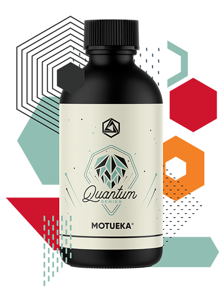 Motueka Hops Quantum Series | Best Quantum Series for Sale | Abstrax Hops