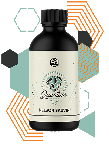 Nelson Sauvin Hops Quantum Series | Best Quantum Series for Sale | Abstrax Hops